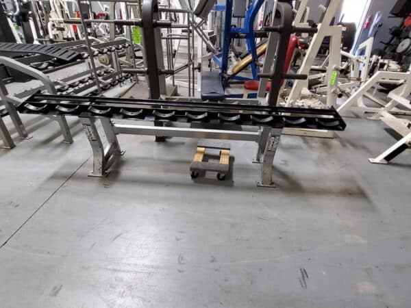 Hammer Strength Single Tier Prostyle Heavy Dumbbell Rack