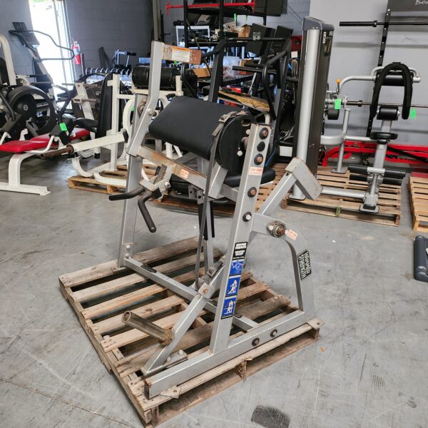 Hammer Strength Plate-Loaded Seated Biceps