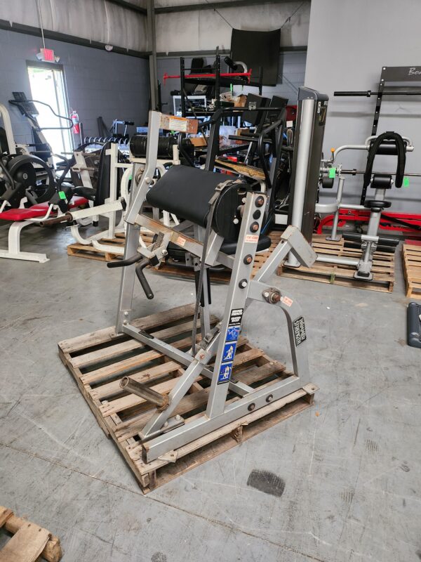 Hammer Strength Plate-Loaded Seated Biceps