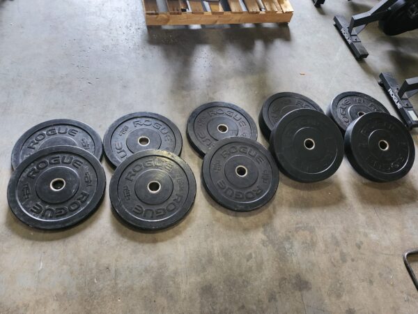 Rogue HG2.0 280lb Bumper Plate Set