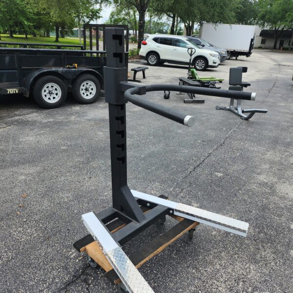 PowerLift Dip Station
