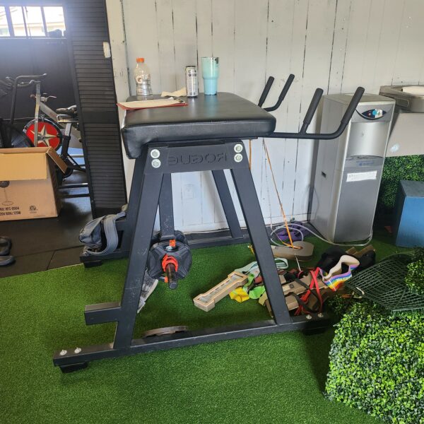 Rogue Fitness RH-2 Reverse Hyper