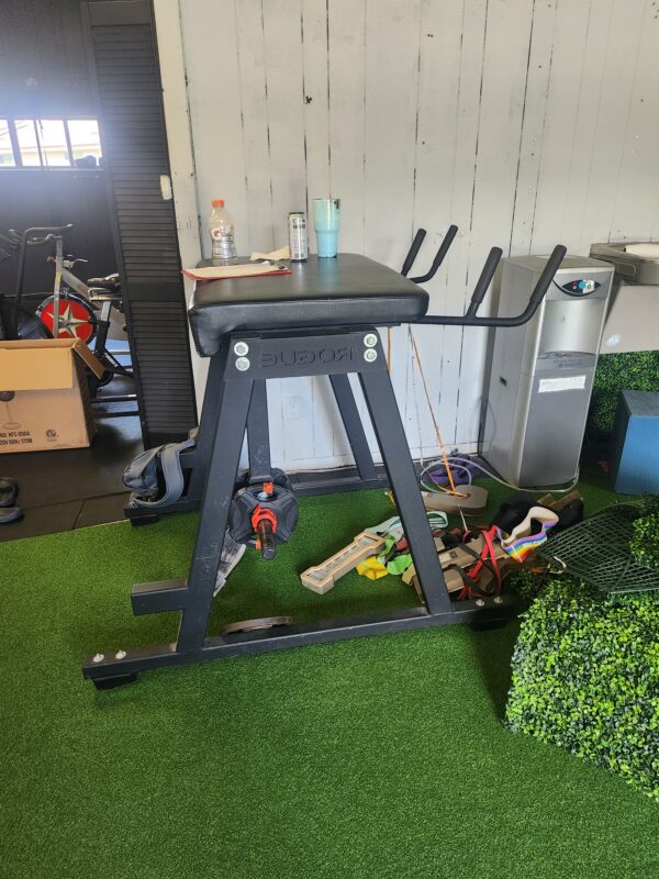 Rogue Fitness RH-2 Reverse Hyper