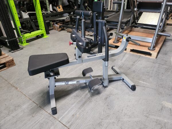 Body Solid Seated Calf