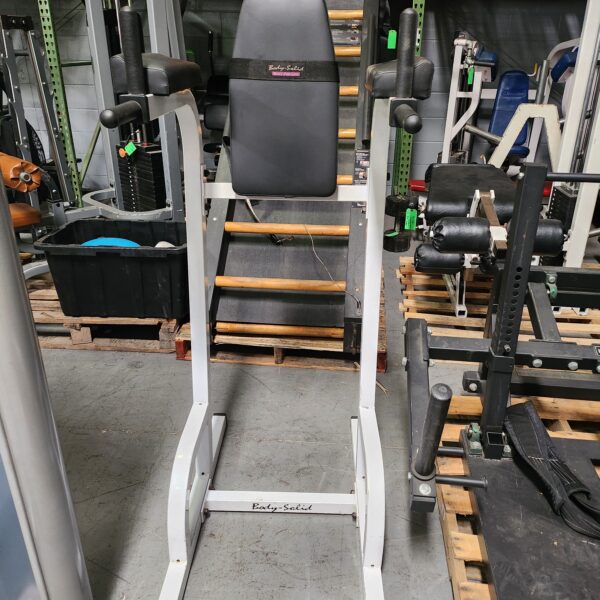 Body Solid VKR / Dip