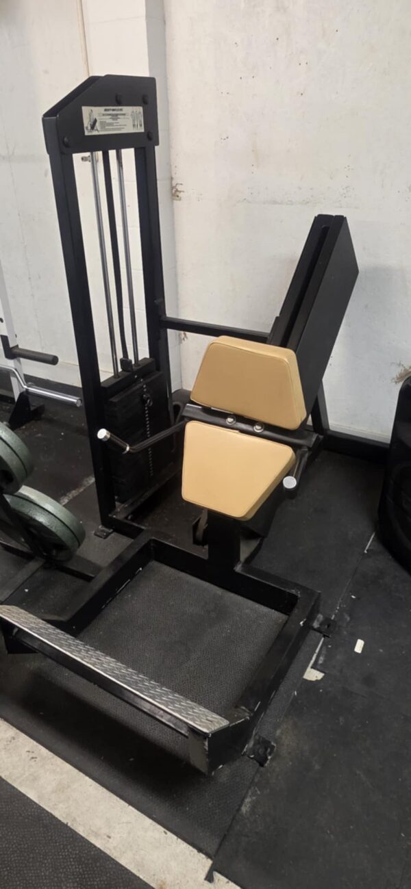 Body Masters 45 Degree Calf Raise (Selectorized) - Image 2