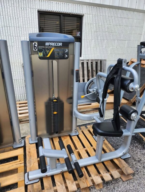 Precor Vitality Abdominal Crunch / Back Extension Combo Machine