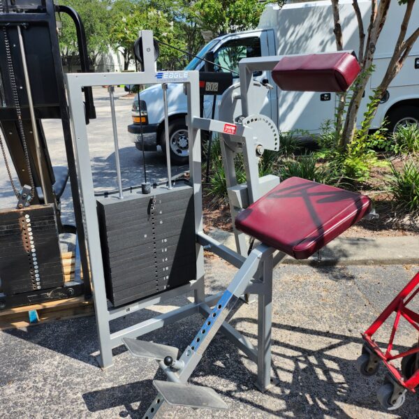 Eagle Fitness Systems by Cybex Back Extension Machine