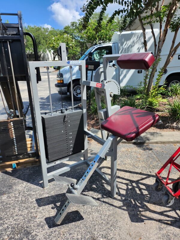 Eagle Fitness Systems by Cybex Back Extension Machine