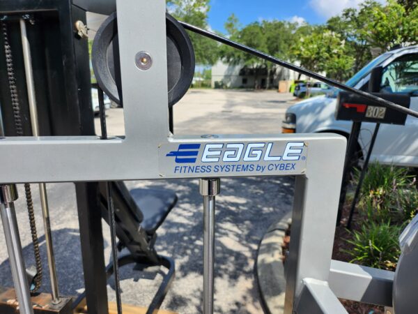 Eagle Fitness Systems by Cybex Back Extension Machine - Image 2