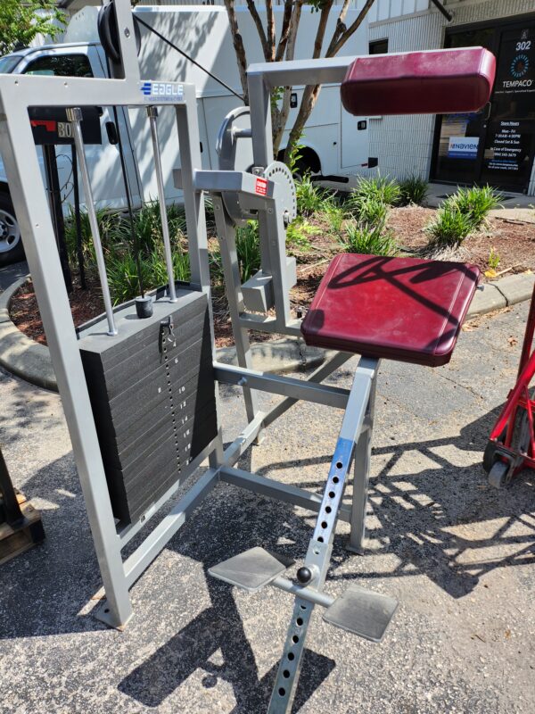 Eagle Fitness Systems by Cybex Back Extension Machine - Image 5