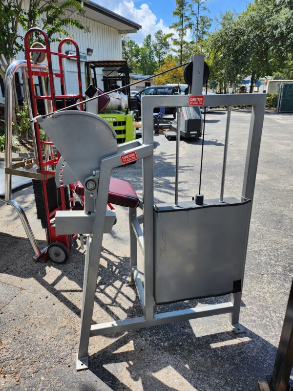 Eagle Fitness Systems by Cybex Back Extension Machine - Image 6
