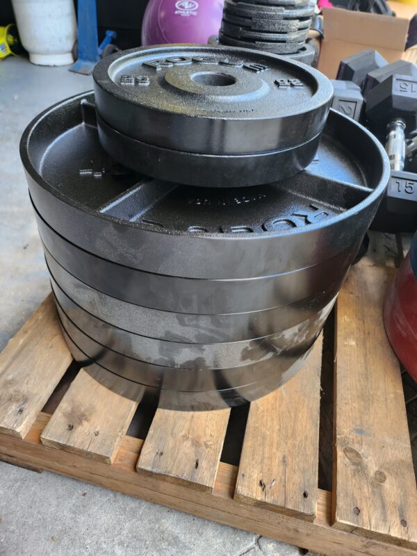 Rogue Deep Dish Plates