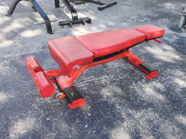 Nautilus Inspiration Adjustable Decline Bench