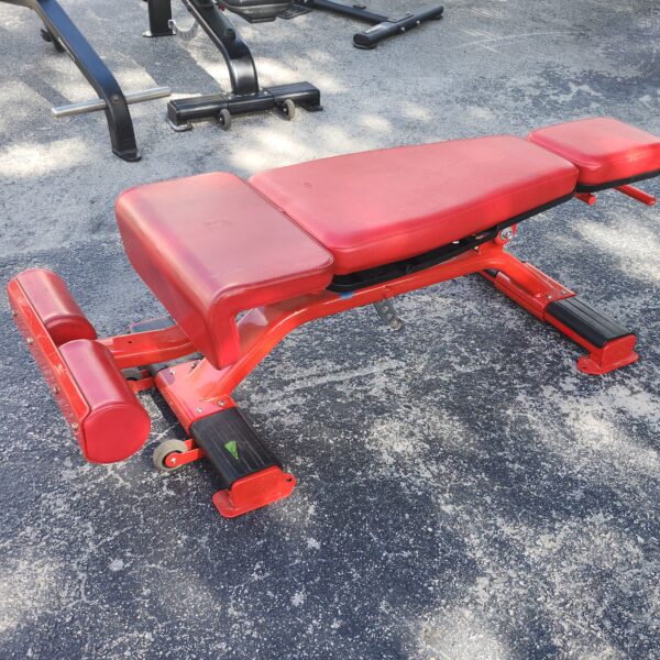 Nautilus Inspiration Adjustable Decline Bench