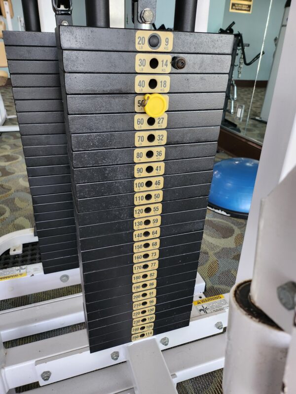 Nautilus Seated Low Row 250lb Weight Stack - Image 2