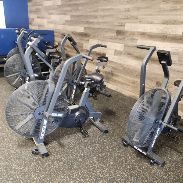 Rogue Echo Bike V3.0