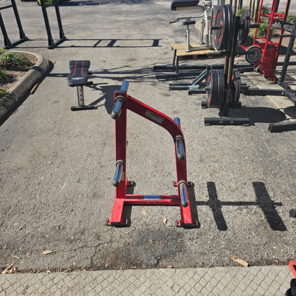 Hammer Strength Weight Tree