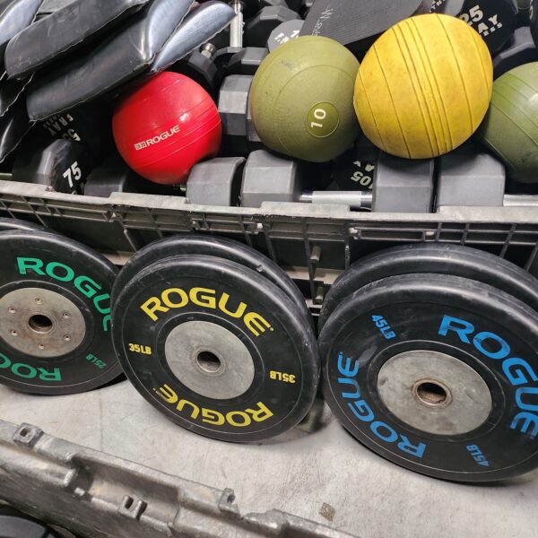 Rogue Fitness LB Training Bumper Plates