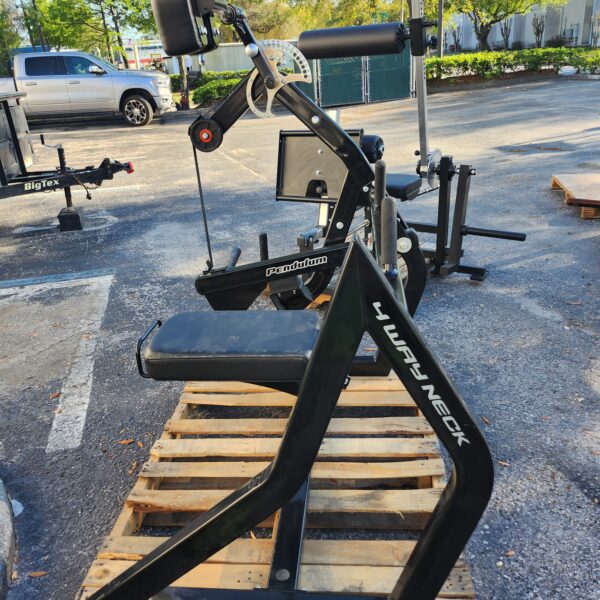 Rogers Pendulum 4-Way Neck