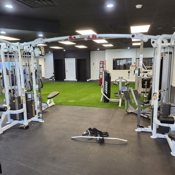 Hoist CMJ-6000 6 Stack Jungle Gym