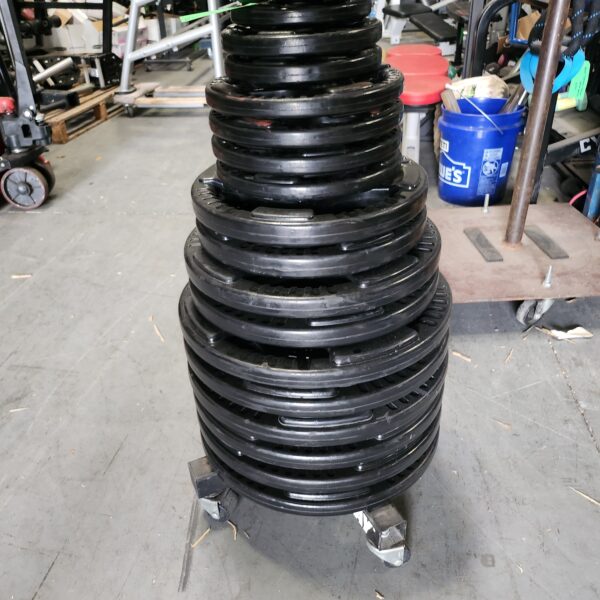 Body Solid Rubber Grip Weight Set (445lbs)