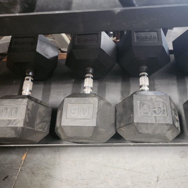 Rogue Rubber Hex Dumbbells 90 to 100