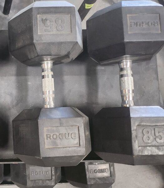 Rogue Rubber Hex Dumbbells 85 to 100