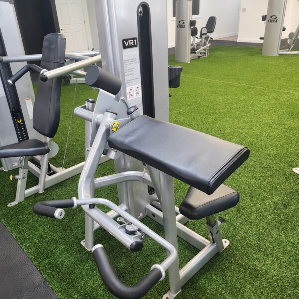 Cybex Vr1 Arm Curl