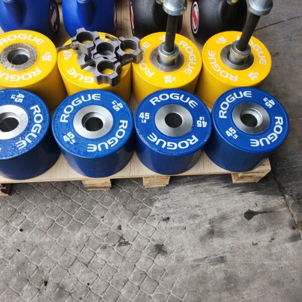 Rogue DB-15 Dumbbell Bars w/ 45lb & 35lb Dumbbell Bumpers
