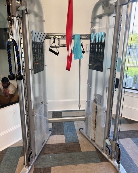 Precor FTS Glide Functional Trainer