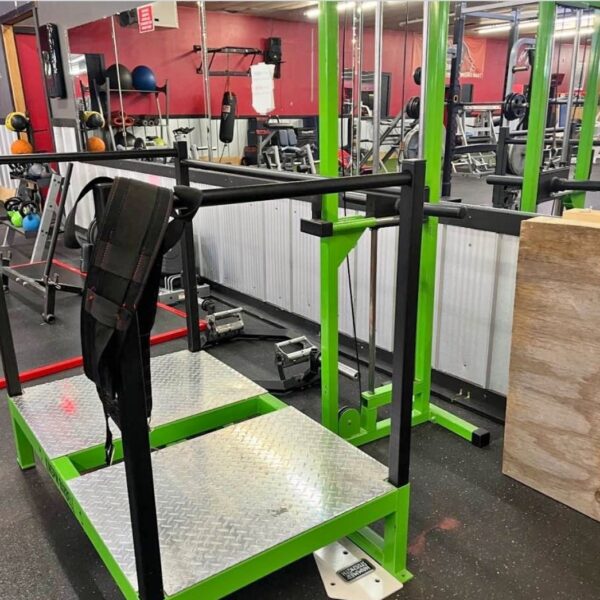 Texas Strength Systems Belt Squat