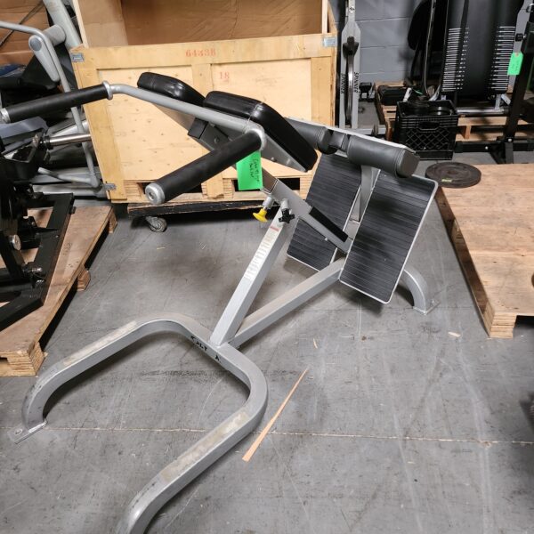 Cybex 45-Degree Back Extension