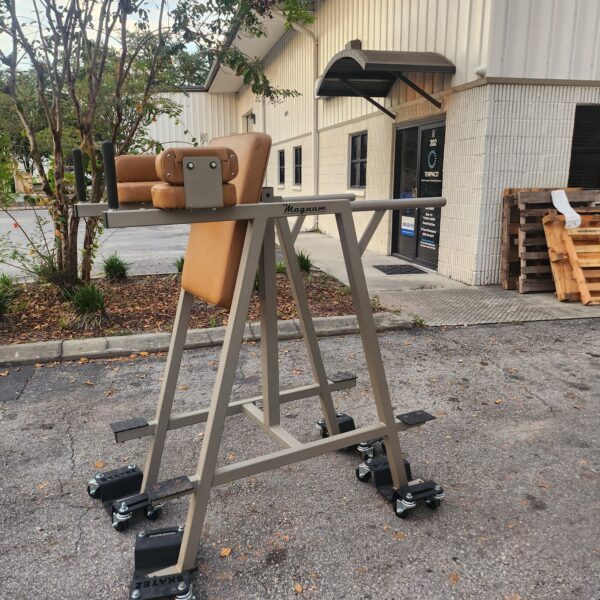 Magnum Fitness VKR / Dip