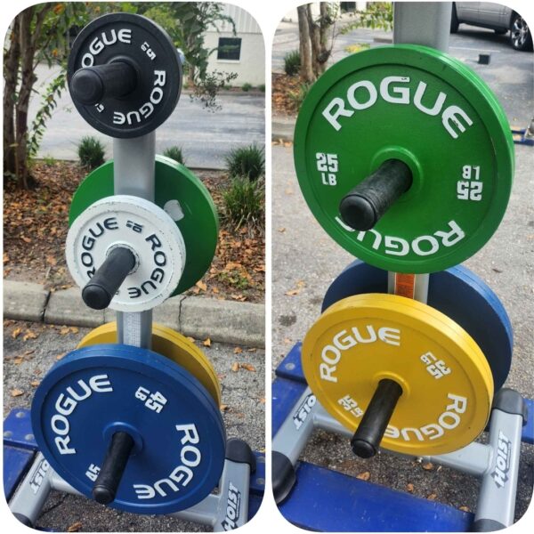 Rogue Fitness 240lb Calibrated Steel Weight Set